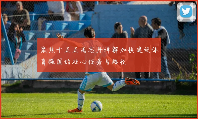 聚焦十五五高志丹详解加快建设体育强国的核心任务与路径