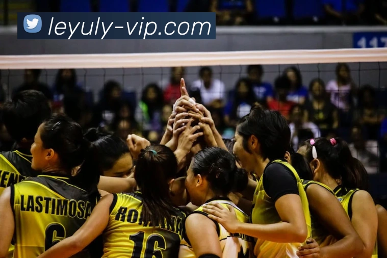 App Interface Preview